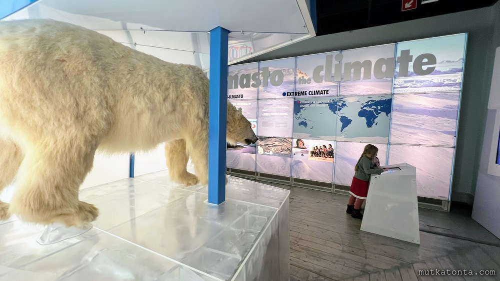 Arktikum arktinen näyttely